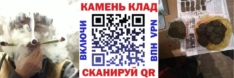 ГАШ Premium Майкоп
