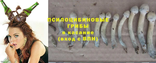 а пвп мука Аркадак