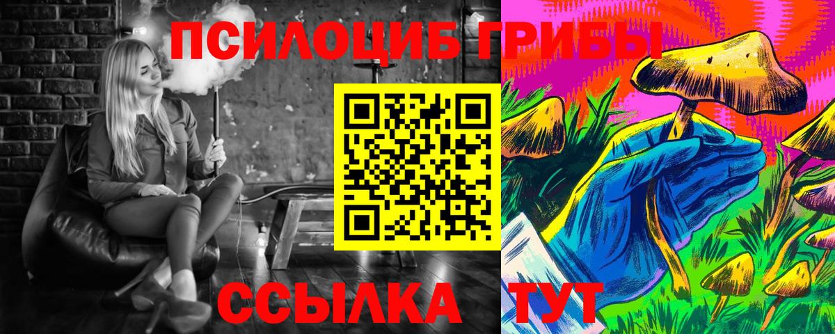 Псилоцибиновые грибы Psilocybine cubensis  Вход с VPN  Майкоп  Псилоцибиновые грибы GOLDEN TEACHER 